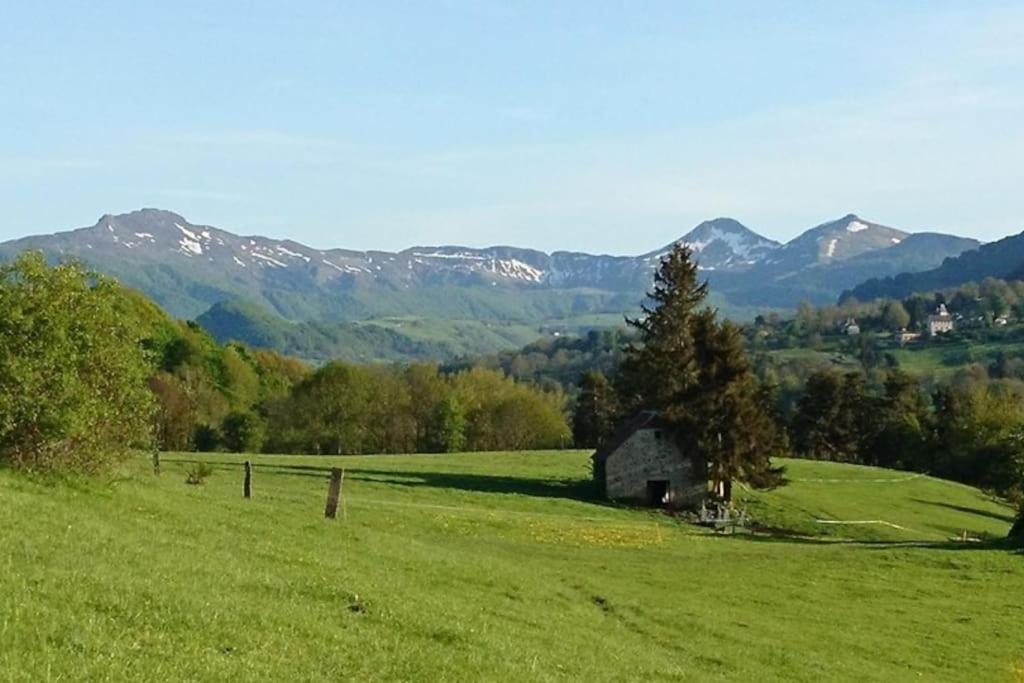 Gite A La Ferme Au Coeur De L'Auvergne Saint-Hippolyte  Экстерьер фото