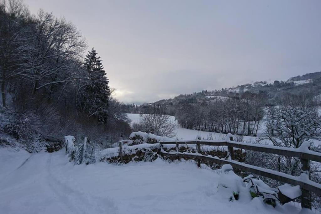 Gite A La Ferme Au Coeur De L'Auvergne Saint-Hippolyte  Экстерьер фото
